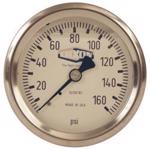 Stainless Liquid Filled Gauge Center Back Mount